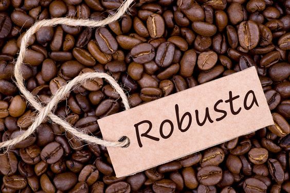 Giá cà phê hôm nay 6/11:  Giá cà phê ở hai sàn đã tăng trở lại sau nhiều phiên giảm sâu liên tiếp.