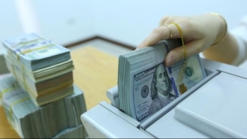 Tỷ giá ngoại tệ hôm nay 15/11: Thị trường thế giới lấy lại đà tăng giá