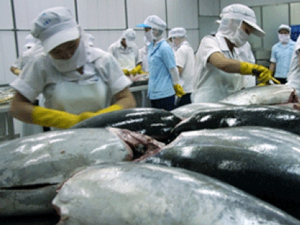 Xuất khẩu thủy sản: Mặt hàng cá Ngừ xuất sang Mỹ tăng trưởng trở lại