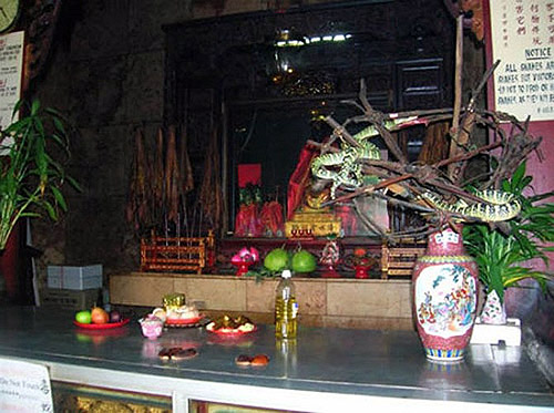 Cận cảnh ngôi đền linh thiêng toàn rắn độc ở Đông Nam Á 5