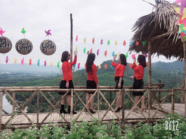 nghe an hang van du khach do ve canh dong hoa dip tet duong lich