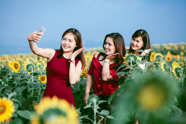 nghe an hang van du khach do ve canh dong hoa dip tet duong lich