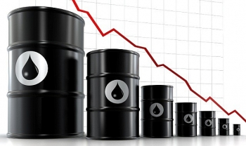 Citigroup hạ dự báo giá dầu năm 2020