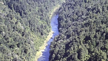 Sông Whanganui ở New Zealand - Công dân đặc biệt nhất thế giới