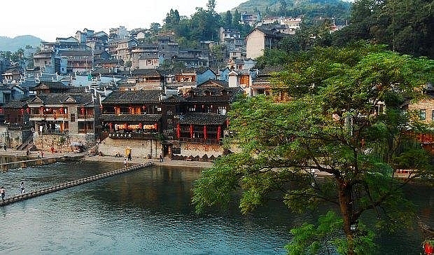 lac loi o phuong hoang co tran