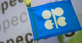 Mức độ tuân thủ thỏa thuận của OPEC+ đạt 116% trong tháng 8