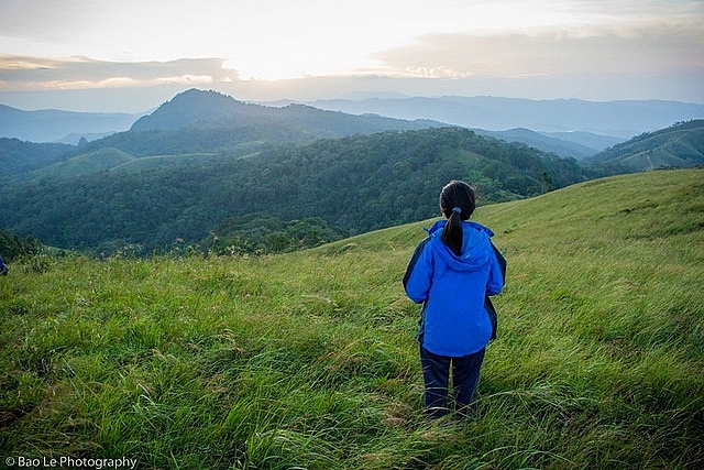 nhung doi co xanh bat ngan tren cung duong trekking dep nhat viet nam