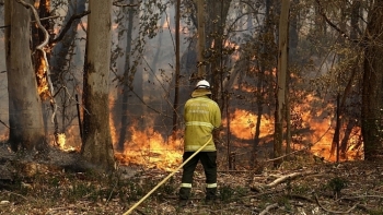 Australia: Rơi trực thăng chữa cháy rừng, phi công may mắn thoát nạn
