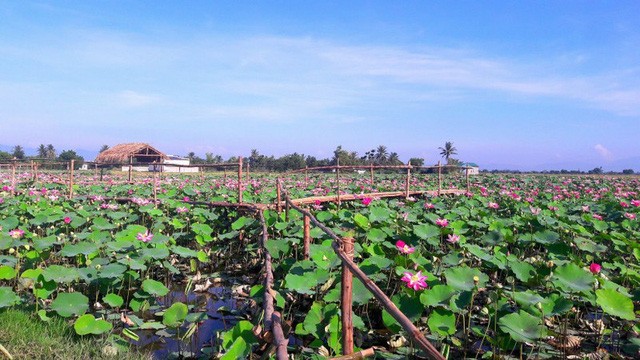 nhung diem song ao cho du khach dip tet duong lich