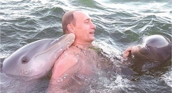 Cận cảnh Tổng thống Putin bơi cùng cá heo ở Cuba