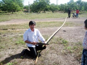 Ngày xuân tung còn "đón" duyên