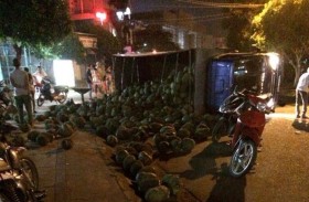 Lật xe chở mít ở Đồng Nai, không ai “hôi của”