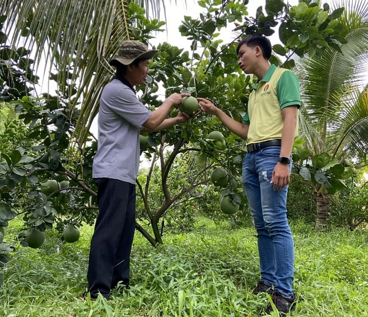 Phân bón Cà Mau đạt Giải Vàng Chất lượng Quốc gia: Phần thưởng cho những nỗ lực bền bỉ