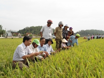 Nông dân gồng gánh giá phân bón vì thuế VAT bất hợp lý