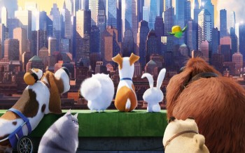 The Secret life of Pets: Hài hước tột độ!