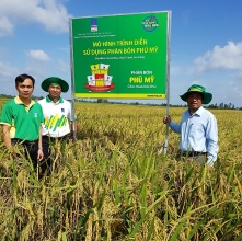 chum anh san xuat phan bon phu my