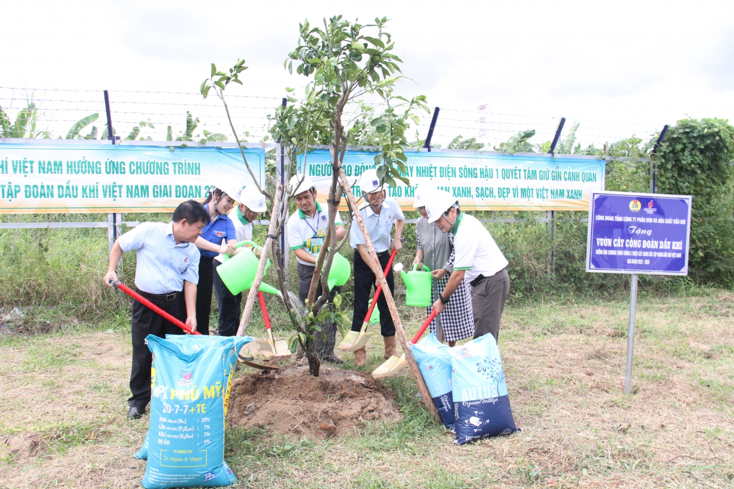 Đại diện PVFCCo, Ban QLDA Sông Hậu 1 thực hiện nghi thức trồng cây