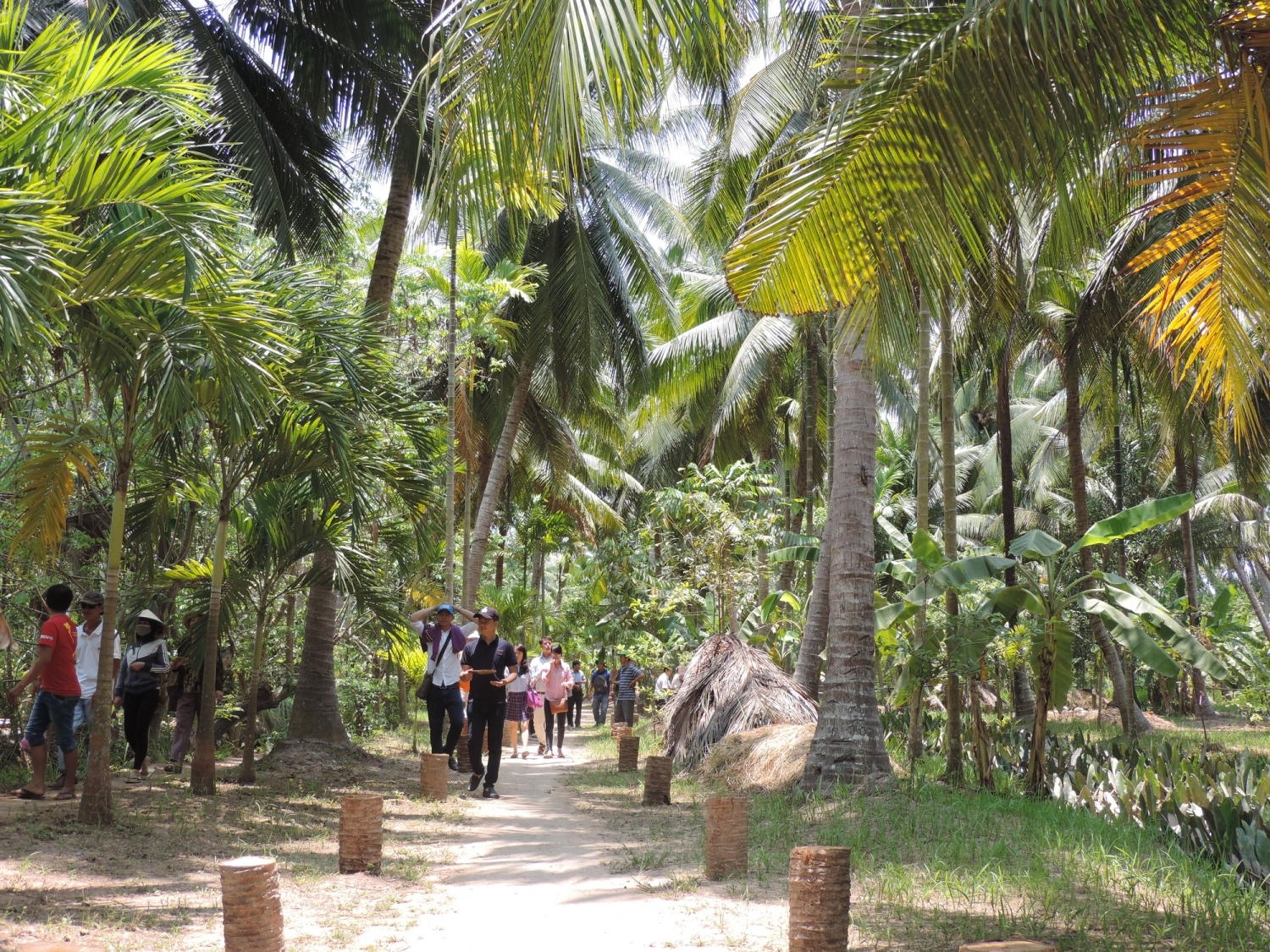 Ben Tre: Focusing on building a tourism Coconut land