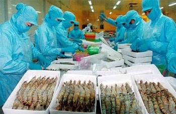 Mỹ điều tra hành vi lẩn tránh thuế một doanh nghiệp Việt xuất khẩu tôm