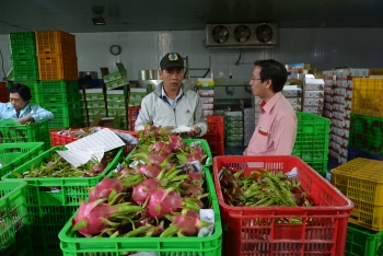 Vẫn có cơ hội gia tăng thị phần cho doanh nghiệp xuất khẩu rau quả sang Hoa Kỳ