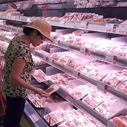 Giá thịt lợn giảm mạnh - Phù hợp quy luật thị trường