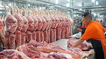 Nếu giá thịt lợn không giảm, Việt Nam sẽ tăng nhập khẩu