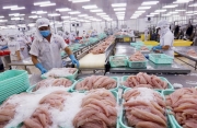 Công ty Vĩnh Hoàn và Nam Việt không chịu thuế chống phá giá cá da trơn của Mỹ