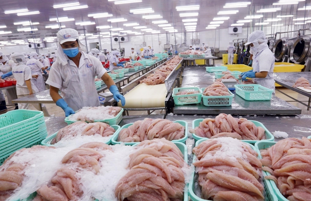 Công ty Vĩnh Hoàn và Nam Việt không chịu thuế chống phá giá cá da trơn của Mỹ