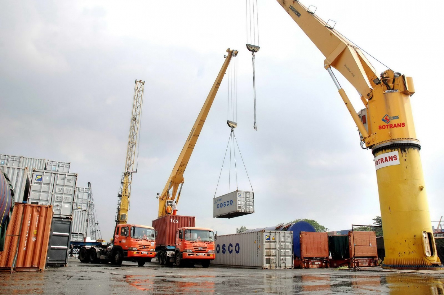 Việt Nam tiếp tục xuất siêu nửa đầu tháng 3