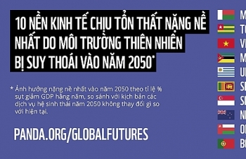 Việt Nam chịu tốt thất nặng nề nhất vào năm 2050 do suy thoái môi trường