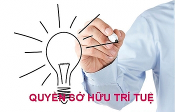 Việt Nam chưa thực sự phát huy hết tiềm lực sở hữu trí tuệ