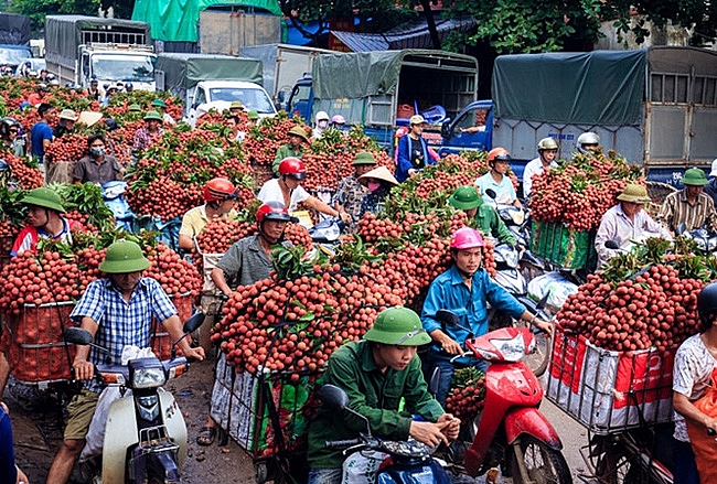 diem tin kinh te ngon hon 881 ty dong cua vicem ma nhieu du an van dang do