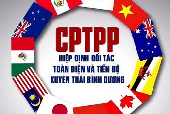 Sẽ có Nghị định hướng dẫn thực thi Hiệp định CPTPP về đấu thầu