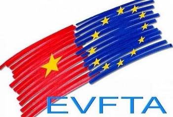 EVFTA chưa mang lại lợi ích ngay cho Việt Nam