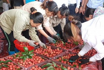 Xuất khẩu rau quả sang Trung Quốc giảm gần 45%