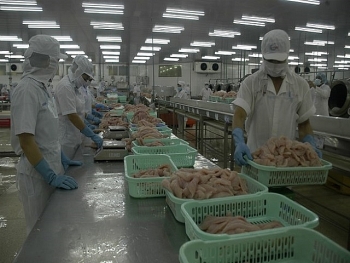 Từ 1/10, xuất nhập khẩu thực phẩm sang Trung Quốc phải ghi nhãn theo quy định mới
