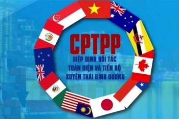 Tin tức kinh tế ngày 30/8: Thủ tướng nhắc 3 lần các bộ ngành mới có kế hoạch hành động về CPTPP