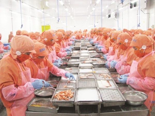 Vướng thẻ vàng, Việt Nam tụt hạng về xuất khẩu hải sản