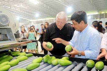Rau quả Việt Nam xuất khẩu giảm mạnh nửa đầu tháng 9
