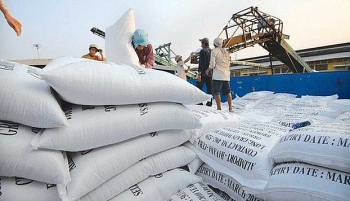 Giá gạo Việt Nam đạt mức cao kỷ lục nhờ xuất khẩu châu Phi tăng