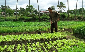 Bộ Tài chính đề xuất 5 loại đất nông nghiệp được miễn thuế sử dụng đến năm 2030