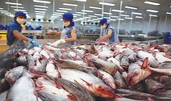 Xuất khẩu cá da trơn vào Mỹ sẽ tăng mạnh