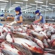 10 doanh nghiệp Việt vượt rào thuế chống phá giá cá basa của Mỹ