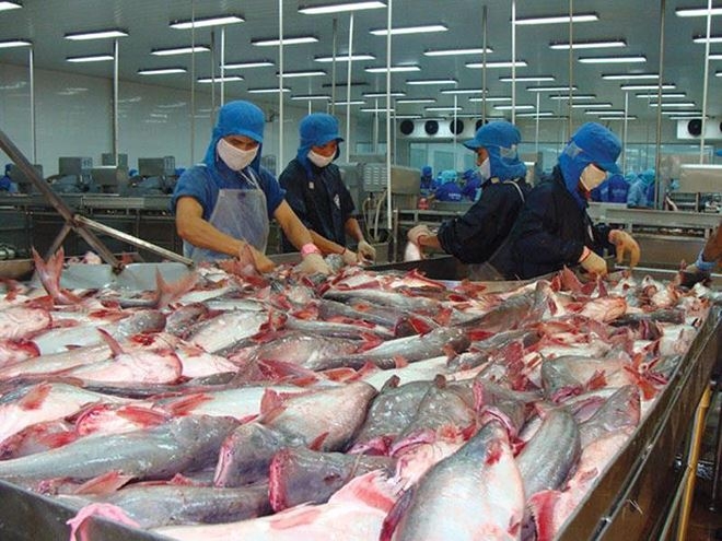 Hệ thống kiểm soát ATTP cá da trơn của Việt Nam được Mỹ chính thức công nhận