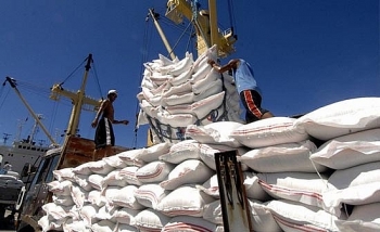 Vì sao Bộ Công Thương đề xuất tạm ngưng xuất khẩu gạo?