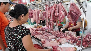 Áp lực đảm bảo nguồn cung thịt lợn Tết Nguyên đán 2020