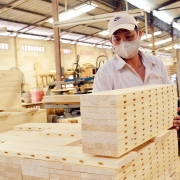 Xuất khẩu gỗ và sản phẩm gỗ tăng mạnh, đạt gần 9,5 tỷ USD trong 11 tháng