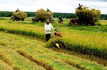 Việt Nam mới “thiên” về giám sát mà chưa chú trọng về đánh giá trong kinh tế nông nghiệp