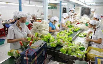 Để xuất khẩu rau quả vào EU, doanh nghiệp Việt Nam phải bảo đảm an toàn thực phẩm