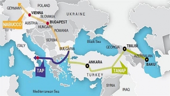 Vì sao cuộc đấu giá khí cho Đường ống xuyên Adriatic thất bại?